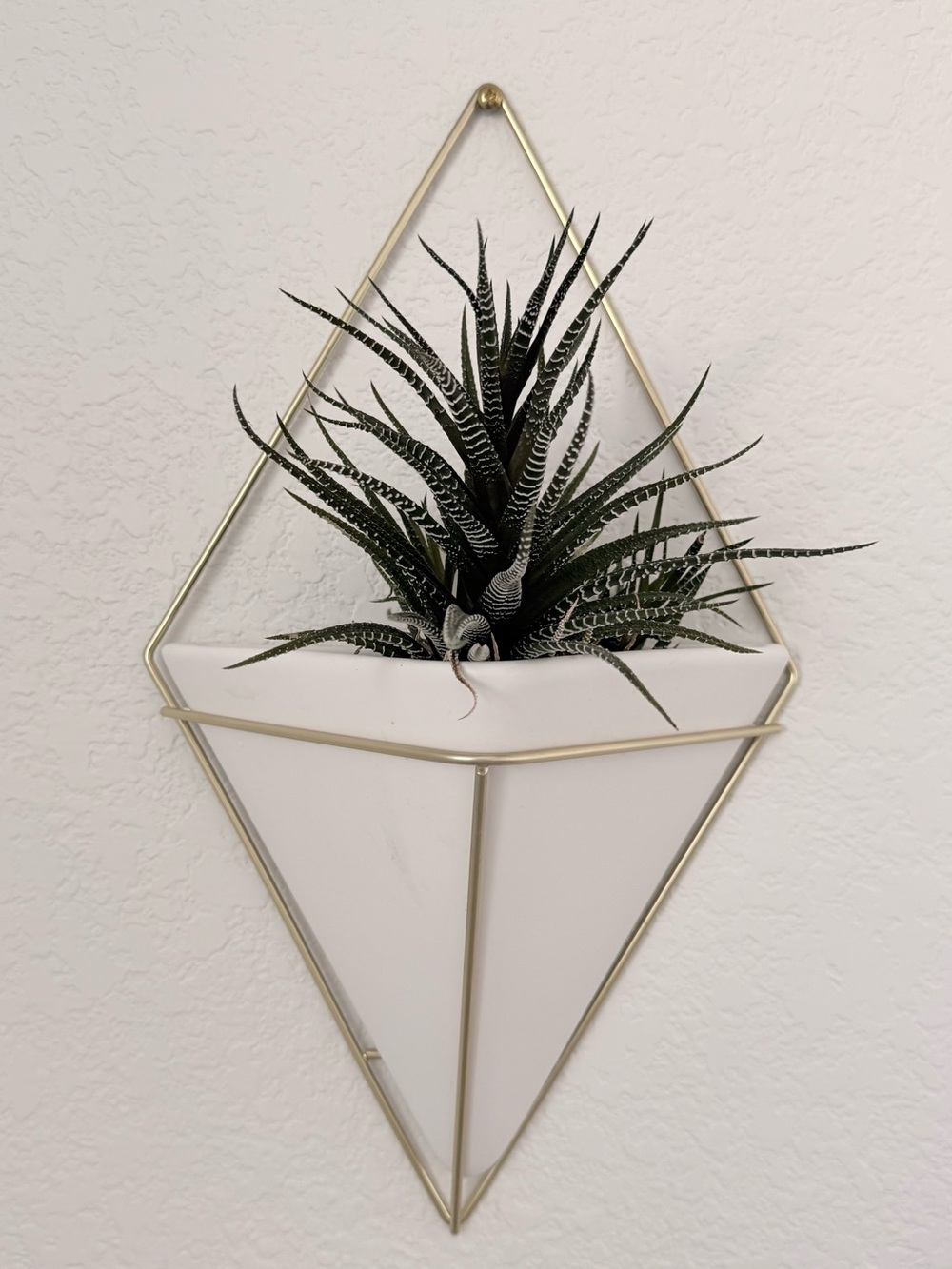 Umbra Trigg Geometric Wall Planter White & Brass Hanging Succulent Planter